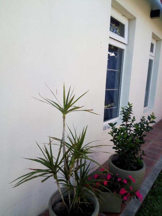 Ferienwohnung El Zohar 2 Pax Federación Exterior foto